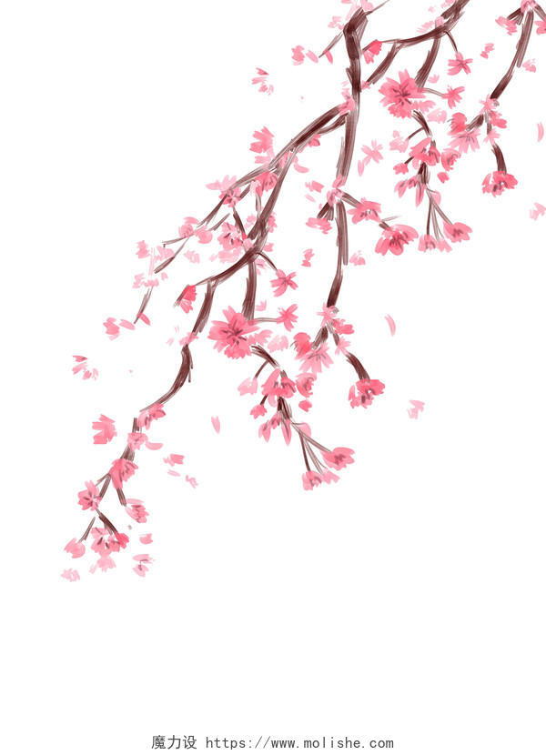 粉色手绘水彩樱花树枝花枝边框樱花节元素PNG素材赏樱花节元素